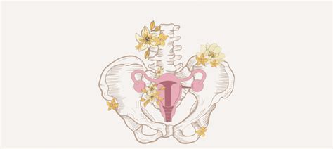 Pelvic Floor Yoga Reunify Yoga