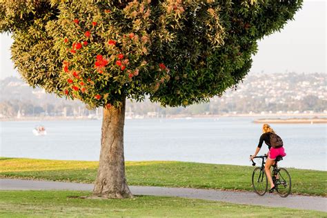 The Top 9 San Diego Bike Trails