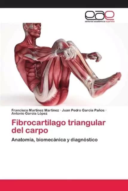 Fibrocartilago Triangular Del Carpo Anatom A Biomec Nica Y Diagn