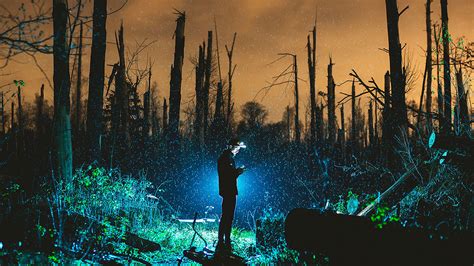 What would happen to the internet if society collapsed?