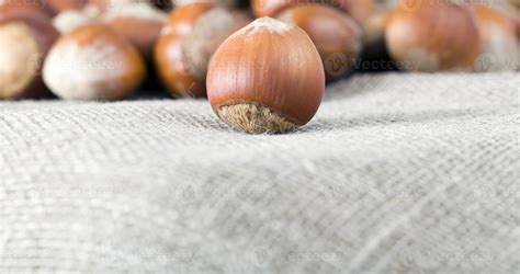 Hazelnuts covered in shell 9703336 Stock Photo at Vecteezy