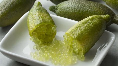 Australian Finger Lime Care Guide