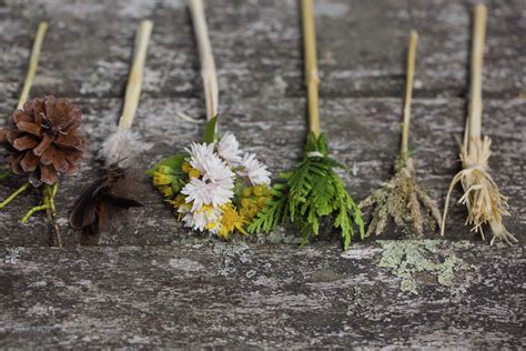 Craft Ideas For Kids Nature Paint Brushes Nature Kids Nature