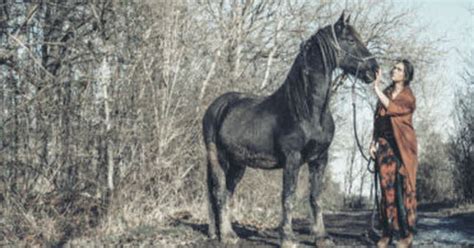 Belfort Olivia Gay dans Le silence de la forêt