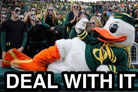 Pin By Leslie Rene On Love My Ducks Oregon Ducks Oregon Ducks