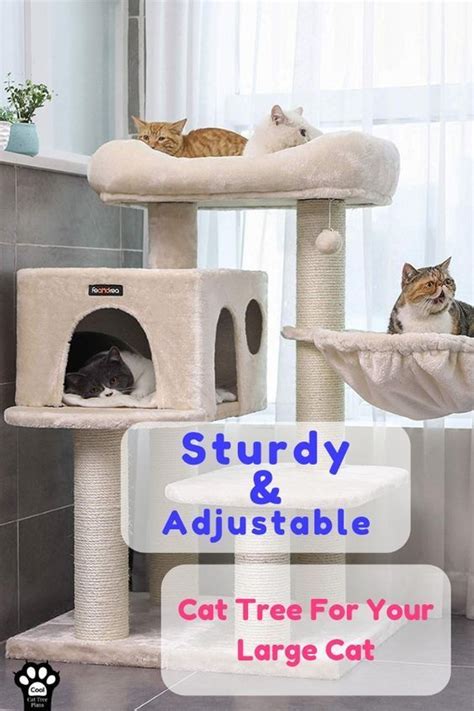 The Best Sturdy Cat Trees For Large Cats Cool Cat Tree Plans Cat