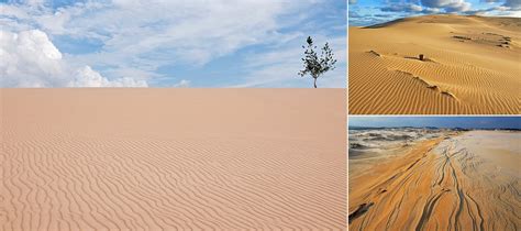 Silver Lake Sand Dunes Camping - All You Need Infos