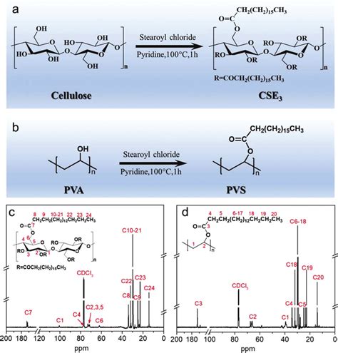 Schematic Illustration For The Synthesis Of A Cellulose Stearoyl Ester Download Scientific