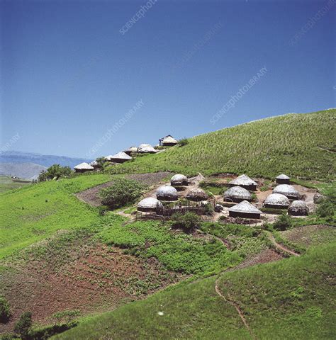 Zulu village, Kwa-Zulu Natal, South Africa - Stock Image - C052/6553 ...