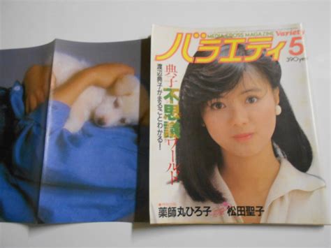 【目立った傷や汚れなし】バラエティ Variety 1984年昭和59年5 薬師丸ひろ子 松田優作 渡辺典子 中村容子 菊池桃子 松田聖子