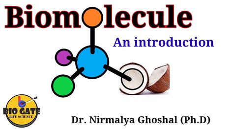 Biomolecules: Introduction and classification #biomolecules - YouTube