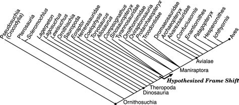 Consensus Cladogram Depicting Phylogenetic Relationships Among Select