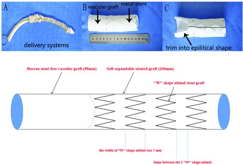 Self design stent graft. (A): Compacted modified stent graft with the ...