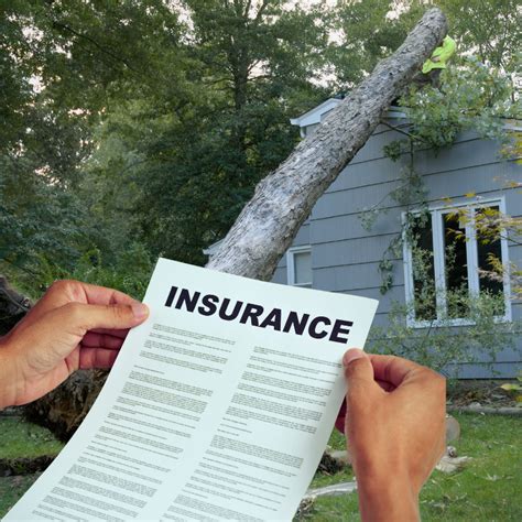 Storm Damage Insurance Claim Guidelines North Carolina Honour Roofing