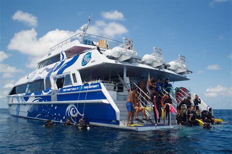 Outer Great Barrier Reef Day Trip From Cairns Divers Den