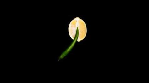Vaginal Flatulence Should You Be Worried About Queefing During Sex