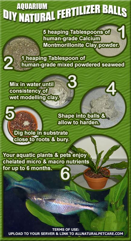 DIY Natural Fertilizer Balls for Aquarium Plants (Infographic)