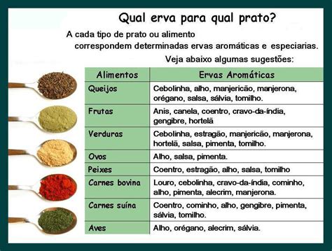 Vitta Diet Brasil Benefícios Dos Temperos