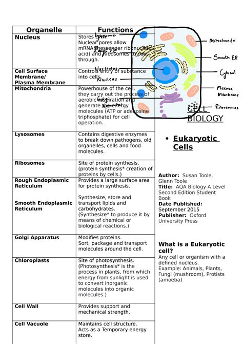 Eukaryotic Cells Eukaryotic Cells Author Susan Toole Glenn Toole