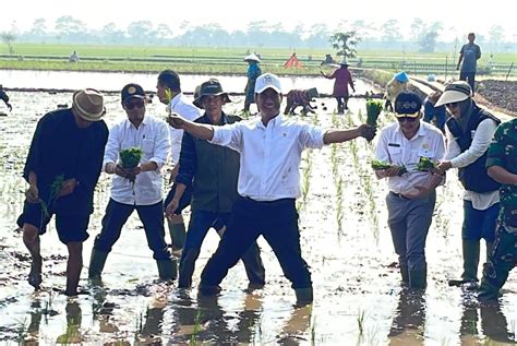 Mentan Dorong Penggunaan Alat Pertanian Modern Untuk Gaet Petani Milenial