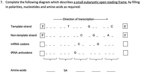 Solved Complete the following diagram. | Chegg.com 