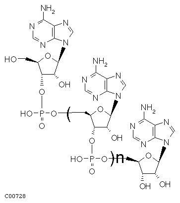 KEGG DBGET Result LIGAND C00728