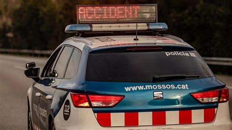 SUCCESSOS Un motorista s accidenta per la irrupció d un gos a l N II