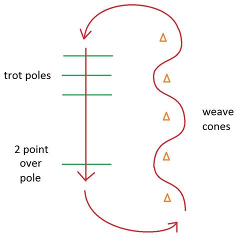 Trotting Pattern Lessons In Tr Horse Riding Tips Horse Exercises