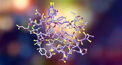 Understanding Hormones The Roles Of Estrogen And Progesterone Medika Life