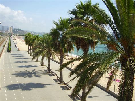 El Paseo Mar Timo Ajuntament De Badalona