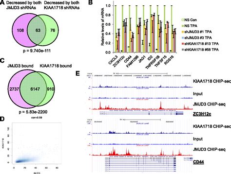 The Histone H3 Lys 27 Demethylase JMJD3 Regulates Gene Expression By