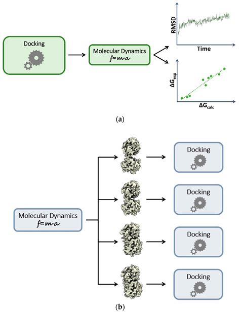 Molecules Free Full Text Dynamic Docking A Paradigm Shift In