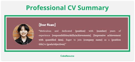 Writing a Professional CV Summary [15+ Examples for Different Jobs ...