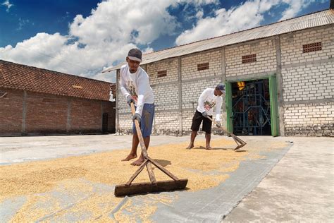 Koperasi Produsen Agribisnis Desa Katur Raih Juara 1 Lomba Kreasi Dan