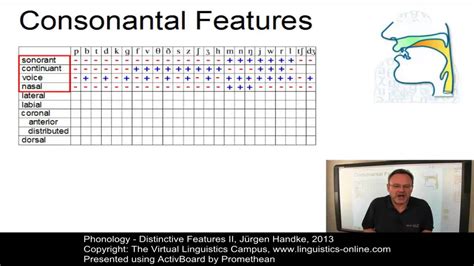 Phonology Distinctive Features Ii Youtube