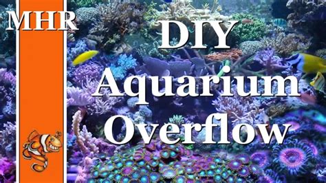 How To Prime Aquarium Overflow Tips And Techniques For Effective Water