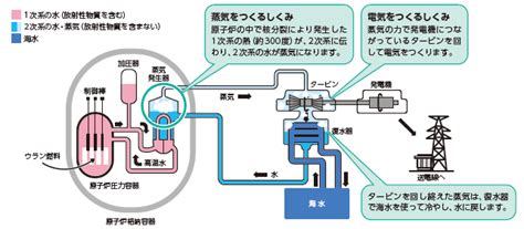 第65号 原子燃料サイクルについてお伝えします！｜かんでんトピックス｜越前若狭のふれあい｜原子力事業本部｜事業所・関連施設｜会社案内｜企業情報