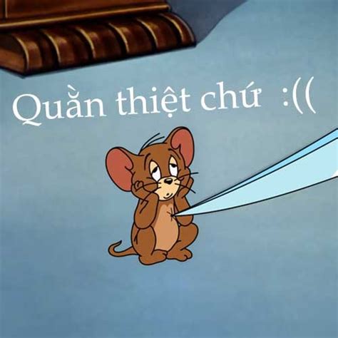 Ảnh Tom Và Jerry Chế Hài Hước Và Độc Đáo