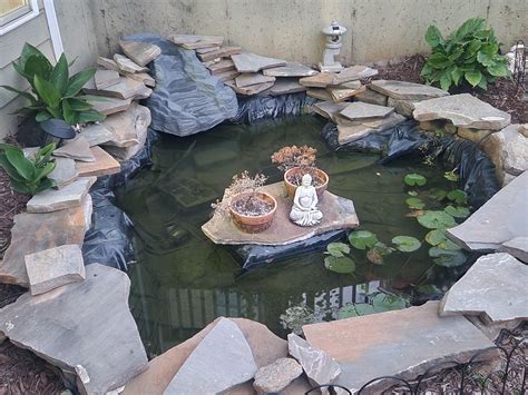New (to me) pond : r/ponds