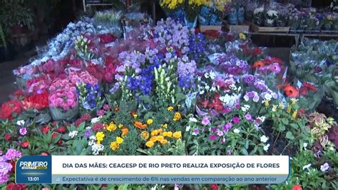 Ceagesp Est O Estoque Cheio De Flores Para Atender O Dia Das M Es