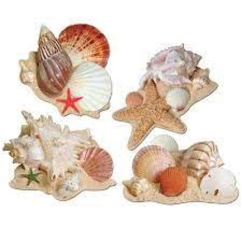 Seashell Cutouts Valentinas Party World