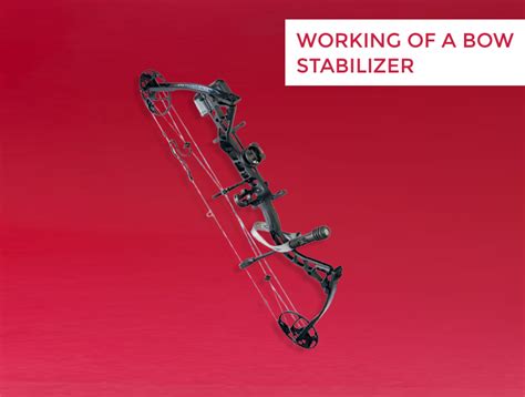 How Does A Bow Stabilizer Work The Ultimate Guide