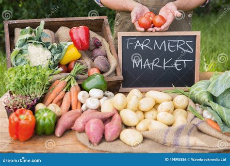 Farmer Selling Organic Veg At Market Stock Photo Image Of Farmers