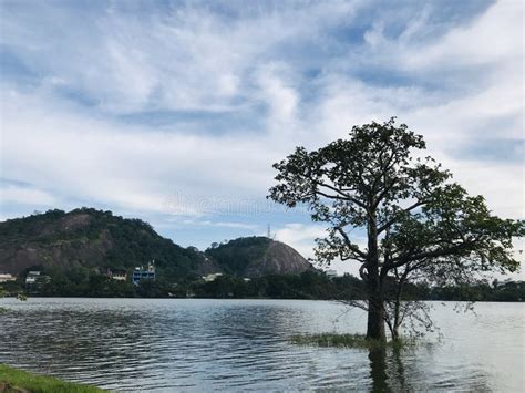 Kurunegala Lake In Sri Lanka Stock Image Image Of Everyone Culture