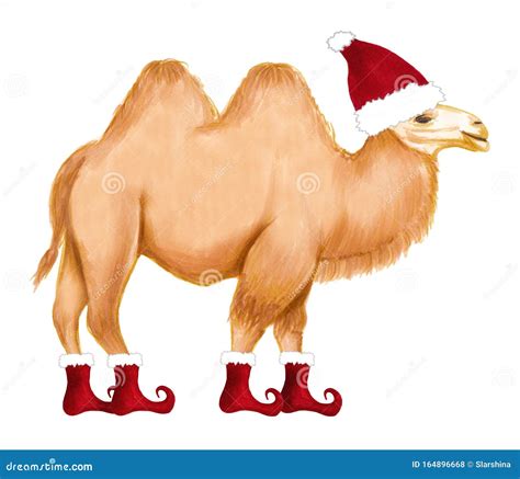 Winter Happy Camel In Santa Hat And Shoes Christmas Design For Cards