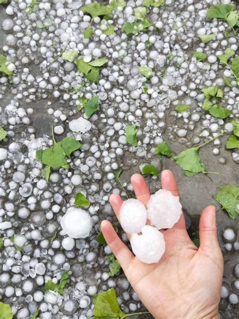 受極端天氣影響瀘州敘永下冰雹 積雹近10厘米 每日頭條