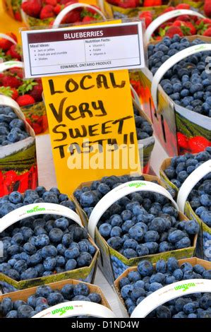 Bayward Market Shopping Farmer Market District Downtown Ottawa Stock