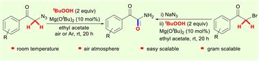 Mg OtBu 2 catalyzed CH oxidation of α azido arylethanones using TBHP