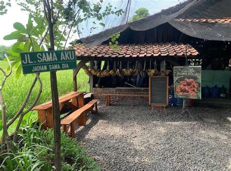 WOW KEREN Ini 3 Rumah Makan Bernuansa Klasik Dengan View Persawahan