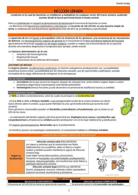 Infeccion Urinaria Sweet Study UDocz